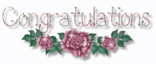 congratulations %E0%A4%97%E0%A5%81%E0%A4%B2%E0%A4%BE%E0%A4%AC