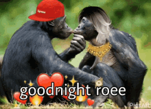 Goodnight Roee GIF - Goodnight Roee Bae GIFs