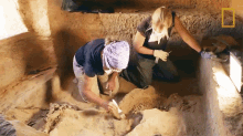Brushing Lost Treasures Of Egypt GIF - Brushing Lost Treasures Of Egypt Excavating GIFs