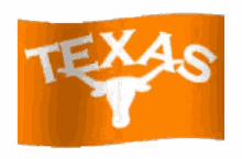 Texas Flag GIF - Texas Flag Collage GIFs
