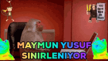 Maymun Yusuf Monkey GIF - Maymun Yusuf Maymun Monkey GIFs