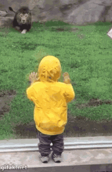 Bruj GIF - Bruj - Discover & Share GIFs