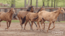 Running Horse Ultimate Cowboy Showdown GIF - Running Horse Ultimate Cowboy Showdown Fast GIFs
