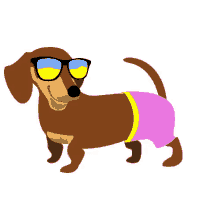 Pancho Hot Dog GIF - Pancho Hot Dog Perro GIFs