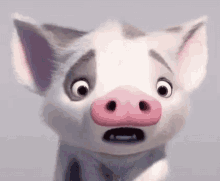 Moana Pig Pua Surprise GIF - Moana Pig Pua Pua Pig GIFs