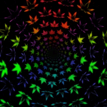Marijuana Drugs GIF - Marijuana Drugs Mary Jane GIFs
