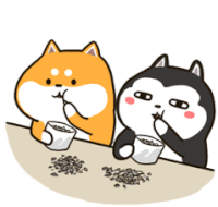 Husky And Shiba 二哈萌柴3微信表情 Sticker - Husky And Shiba 二哈萌柴3微信表情 Stickers