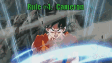 Rule4 Rule GIF - Rule4 Rule Cameron GIFs