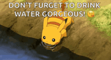 Pikachu Drink GIF - Pikachu Drink Water GIFs