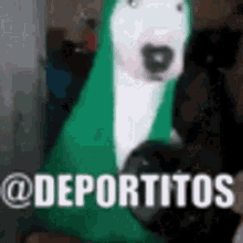 Deportitos GIF - Deportitos GIFs