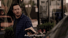 Are You Stupid? GIF - Fed Up Mad Stupid GIFs