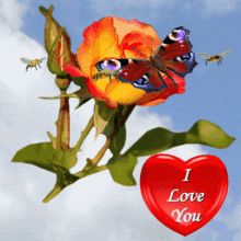 I Love You Orange Rose GIF - I Love You Orange Rose Heart GIFs