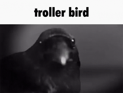troller-bird-troll.gif