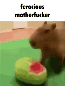 Capybara Ferocious GIF - Capybara Ferocious Motherfucker GIFs