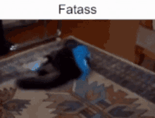 Fatass Cookie GIF - Fatass Cookie Cookie The Cat GIFs