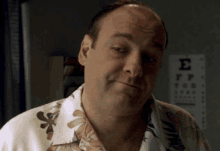 The Sopranos GIF - The Sopranos Tony GIFs