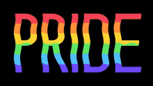 pride lgbt gay pride lgbt gay