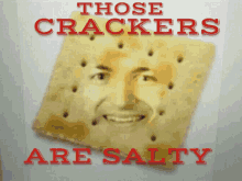 salty salty crackers cracker