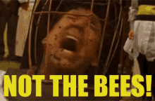 bees-not-the-bees.gif