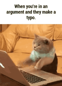 Typo Cat GIF - Typo Cat Kitten GIFs
