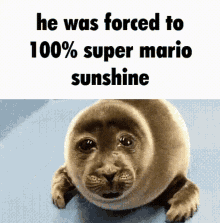Super Mario Super Mario Sunshine GIF - Super Mario Super Mario Sunshine Mario Sunshine GIFs