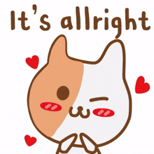 animal kitty cat cute allright animal kitty cat cute allright