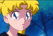 Sailor Moon Sailor Pluto GIF - Sailor Moon Sailor Pluto Sailor Uranus GIFs