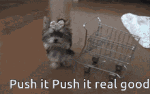 Push It Real Good GIF - Push It Real Good Dog GIFs