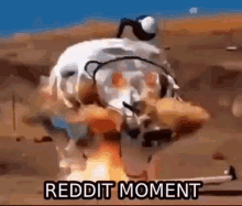 reddit moment reddit moment