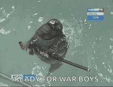 Ready For War Seal GIF - Ready For War Seal Soldier GIFs