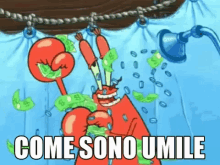 mr crabs umile umilt%C3%A0 quanta umilt%C3%A0 come sei umile mr crabs umile umilt%C3%A0 quanta umilt%C3%A0 come sei umile