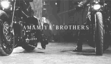 Amamiya Brothers GIF - Amamiya Brothers GIFs