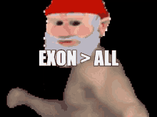exon exon