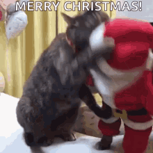 Cat Fight Santa Fight GIF - Cat Fight Santa Fight Christmas Lights GIFs