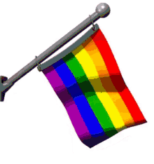 Gay Flag GIF - Gay Flag Rainbow GIFs