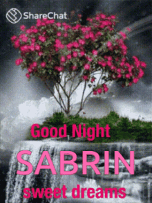Goodnight Sabrin GIF - Goodnight Sabrin Sabrina GIFs