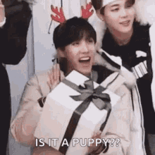 Is It A Puppy Jhope GIF - Is It A Puppy Jhope Cute GIFs