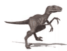 raptor simulation 3d dinosaur