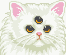 pastel cat