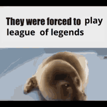 league of legends seal he was forced play league of legends league of legends seal he was forced play league of legends