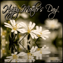 Happy Mothers Day Mothers Day Flowers GIF - Happy Mothers Day Mothers Day Flowers GIFs