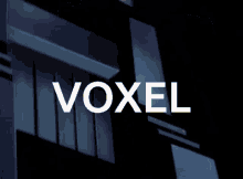 bank voxel