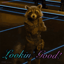 Guardians Of The Galaxy Rocket Raccoon GIF - Guardians Of The Galaxy Rocket Raccoon Looking Good GIFs