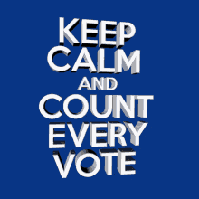 Keep Calm Keep Calm And Carry On GIF - Keep Calm Keep Calm And Carry On Keep Calm And Count Every Vote GIFs