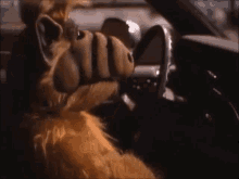 Alf In Car GIF - Alf In Car Music GIFs