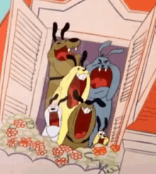 dogs barking noisy window dogs barking noisy window