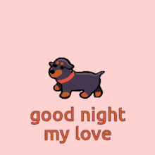 Good Night My Love GIF - Good Night My Love Puppy GIFs