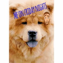 friday nights
