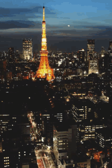 Tokyotower GIF - Tokyotower GIFs