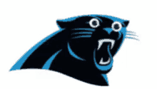 Panthers Carolina GIF - Panthers Carolina Carolinapanthers GIFs